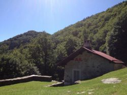 img_0787
