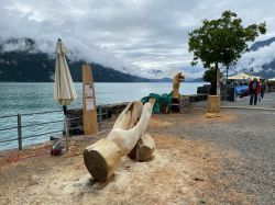 004-schnitzersymposium-brienz