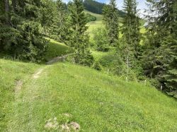 082-fussweg-hilferepass