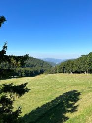 img-20220717-wa0017