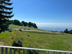 img-20220717-wa0018